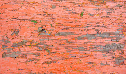 red paint wood background or texture with a little greenery