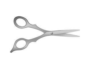 The silver scissors that seem to be opening