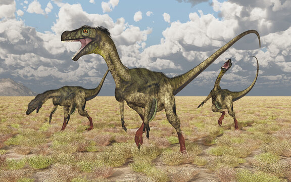 Dinosaurier Ornitholestes in einer Landschaft