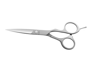 plain simple scissors with silver color