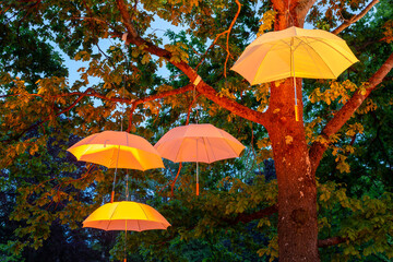 Regenschirme in den Bäumen 