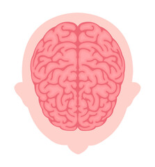 Vector illustration of human brain ( View from above )