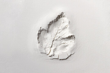 Silhouette print of tree leaf spread on the flat surface or table. Top view of white dust, sand blow, flour, powder. Abstract grainy texture. Autumn pattern background concept. Process of cooking.