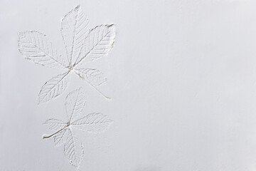 Silhouette of tree leaf printed on .smooth flat surface or table. Top view of white dust, sand blow, flour, powder. Abstract grainy texture. Nature pattern background concept. Minimalist wallpaper.