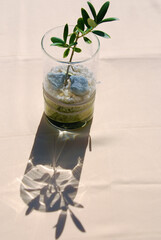 Decoration of an olive tree branch