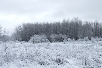 European winter landscape outside the city.