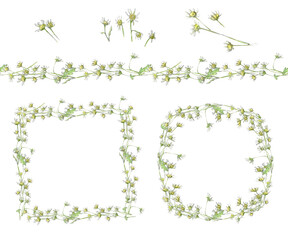 Watercolor set with daisies flowers drawn by hand on white background. Frames, stripe, elements.