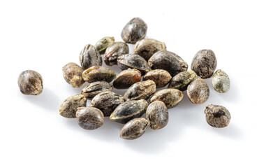 Cannabis seeds isolated on white background. Close up.