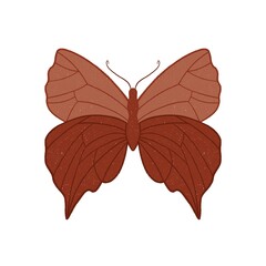 Terracotta textured butterfly in boho style. Isolated in a white background. Hand drawn illustration.