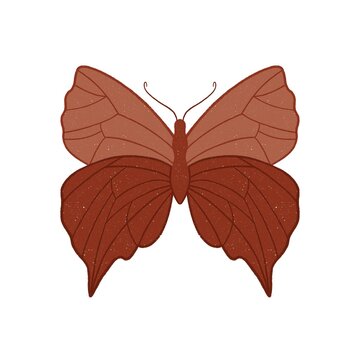 Terracotta textured butterfly in boho style. Isolated in a white background. Hand drawn illustration.