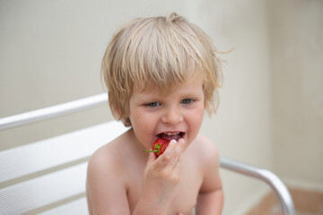 White child eats strawberries in summer closeup portrait