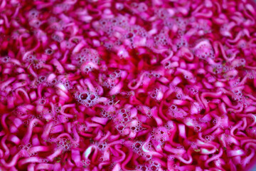 Instant red noodle soup. Junk food. Background.
