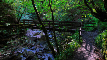 Big Burn waterfall walk through Dunrobin wood in Golspie in the Highlands