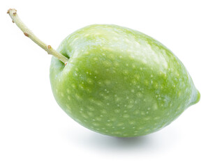 One green natural olive isolated on a white background.