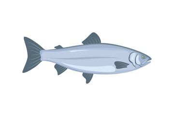 salmon fish illustration vector in flat style