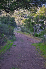 Hiking the Franklin trail in Carpinteria California