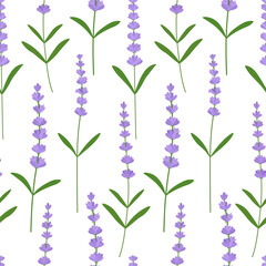 Seamless pattern lavender flowers vector illustration. Provence wildflowers	