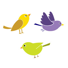 Set of cute birds. Collection of simple colored birds, flying and standing. Vectot illustration in flat style