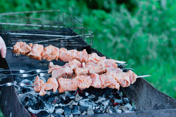 Uncooked fresh meat pieces on grill above nature background with green grass.