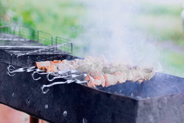 Uncooked fresh meat pieces on grill in deep smoke above nature background with green grass.
