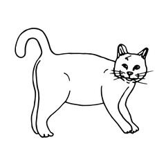 Doodle the cat is standing sideways.Pet hand drawn line art.
