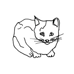 Doodle cat lies.Pet.Line art.