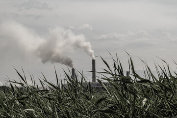 factory smoke kills the environment