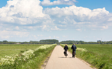 Fototapeta premium couple on bicycle passes white summer flowers on country road near meadows in holland under blue summer sky