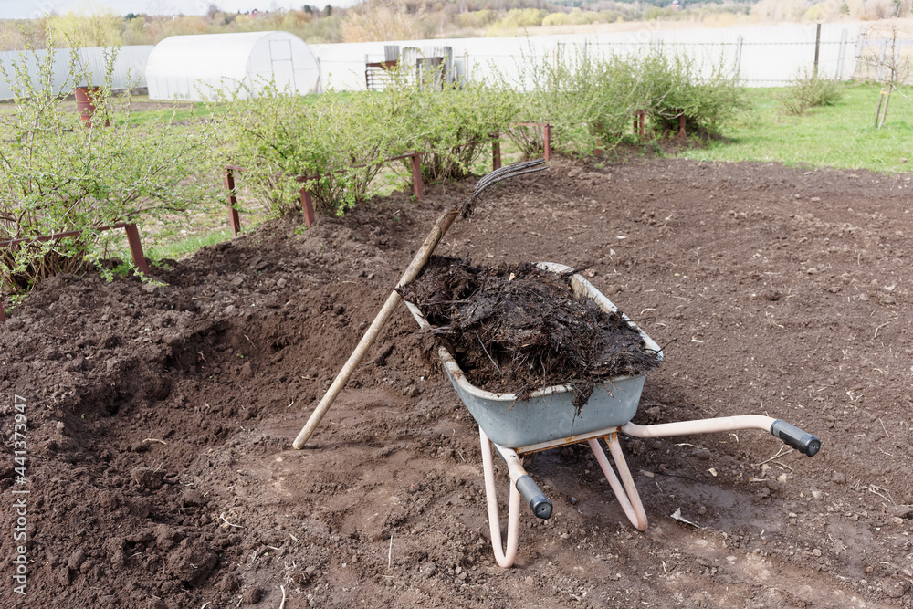 Wall mural Wheelbarrow full of manure with hayfork