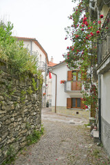 A small street between the old houses of Agnone, a medieval village in the mountains of the Molise...