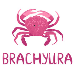 Funny red crab hand drawn and signed animal. Cute marine life, Scandinavian style, detailed