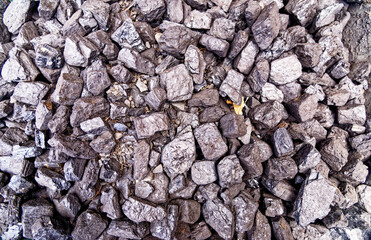 Natural hard coal texture for background - Coal industry