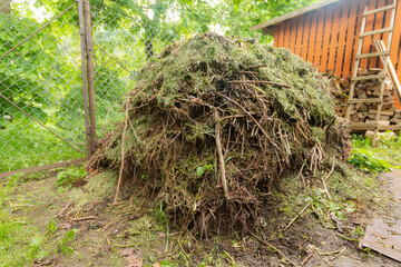 Pile of compost in a village summer season Lithuania