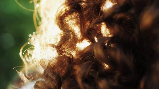 Close-up curly brown hair in the sunlight. Natural beauty concept.