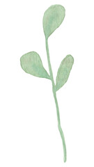 Hand drawn watercolor flowers and leaves