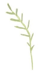 Hand drawn watercolor flowers and leaves