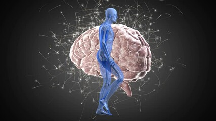 Digital animation of human body model walking against human brain spinning on grey background - Powered by Adobe