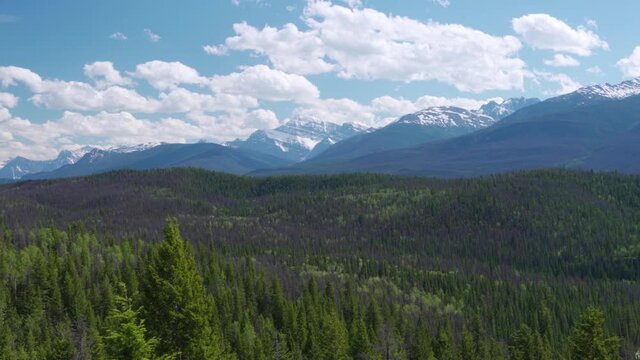Jasper National Park Canadian Rockies mountain range beautiful landscape. Panorama view Mount Edith Cavell and Athabasca Valley forest in summer. Alberta, Canada. Pan left to right.