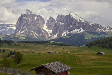 Fototapeta na wymiar beautiful landscape of a green meadow with wooden houses and in the background the mountain of alpe di siusi in the italian dolomites