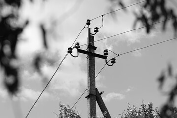Electric pole BW with a natural vignette of trees around