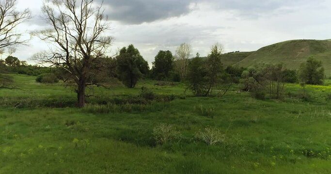 Source of the river with beauty calm swampy backwater with reeds and thickets and bald hills background. Aerial above drone wide view at summer cloudy day.