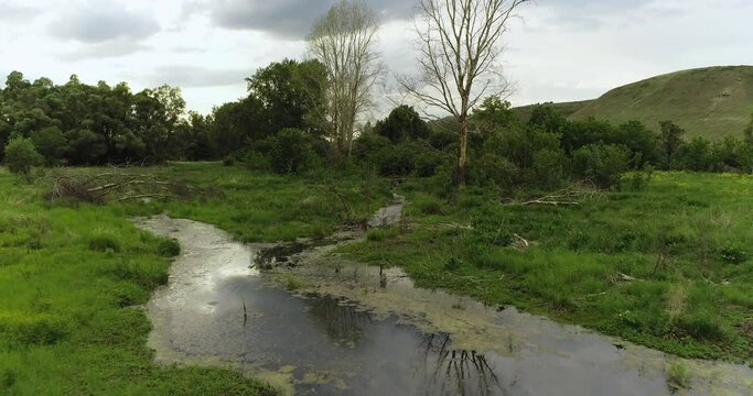 Source of the river with beauty calm swampy backwater with reeds and thickets and bald hills background. Aerial above drone wide view at summer cloudy day.