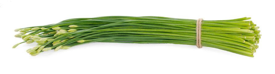 Chinese chives flower on white background