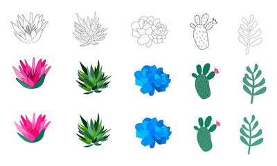 Set of hand drawn cacti and succulents. Spiny desert plants, cactus flowers and tropical plants. Vector collection of doodle plants.