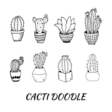 Set of hand drawn cacti and succulents. Collection of plants in pots. Spiny desert plants, cactus flowers and tropical plants. Hand-drawn illustration in a sketch style.