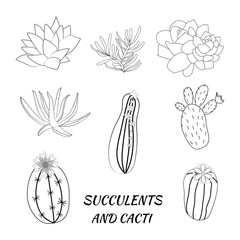 Set of hand drawn cacti and succulents. Spiny desert plants, cactus flowers and tropical plants. Hand-drawn illustration in a sketch style.
