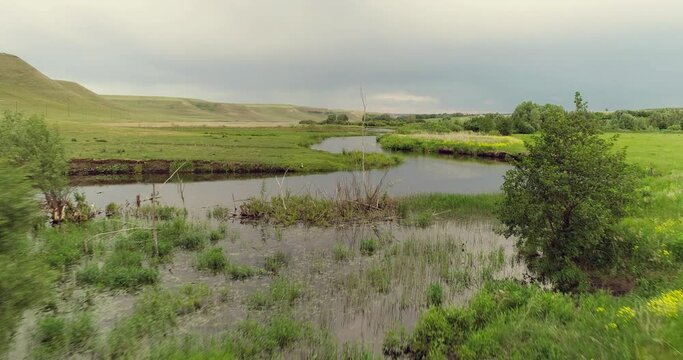 Source of the river with beauty calm swampy backwater with reeds and thickets and bald hills background. Aerial above drone wide view at summer cloudy day.