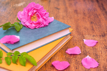 Two closed books with rosehip flower and petals on a wooden table