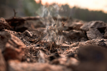 Close up shot of fire making process in the wild at sunset