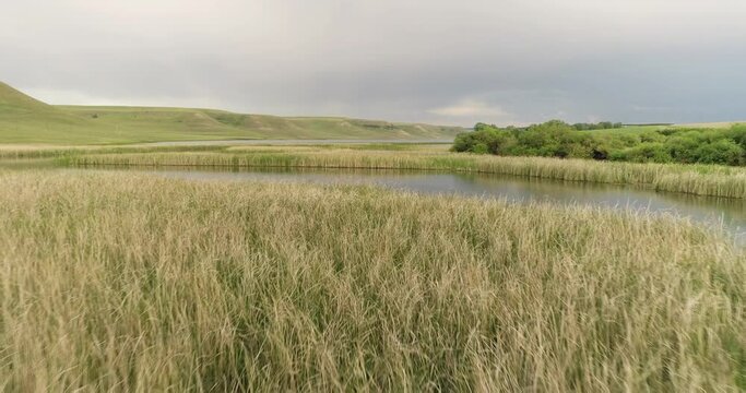 Source of the river with beauty calm swampy backwater with reeds and thickets and bald hills background. Aerial above drone wide view at summer cloudy day.